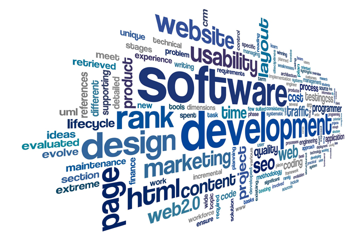sviluppo software